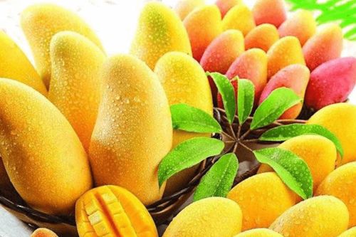 一、 水果行业与食品行业的关系及证件需求