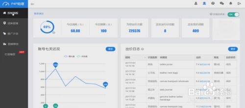 一、 外贸直通车P4P概述