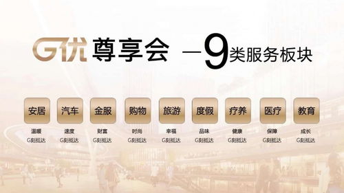 三、 88VIP用户购买手机的优惠实例