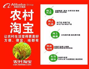 二、 开设农村淘宝服务站的条件