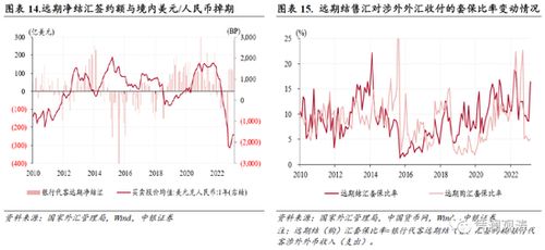 结汇概览：外币兑换的金融操作