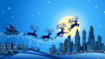 一、 深入了解波兰圣诞文化