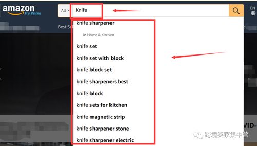 二、 根据商品信息回答：提供准确无误的信息