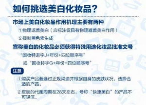 五、海关问题与分批次补货策略