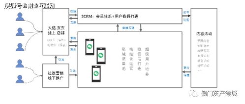 算法学习与调整频率的重要性