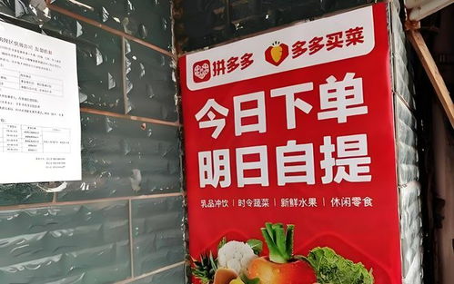 一、 真实案例：多多买菜的日常收益与挑战
