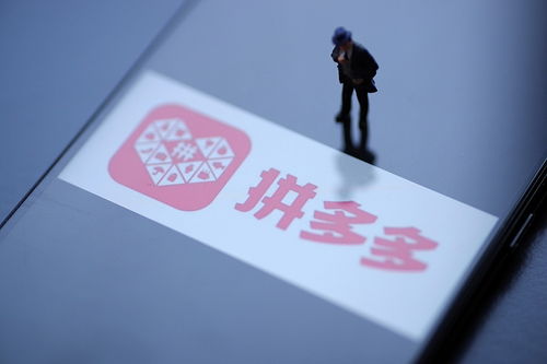 一、 物流慢且不梗新的现象及其影响