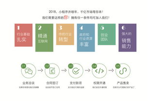 四、 店铺建设与平台选择