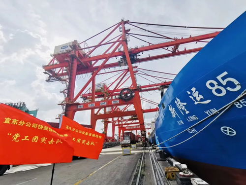 一、 TEU的定义与来源