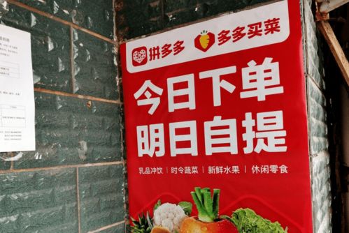 三、 仓储设施：保障商品质量与配送效率