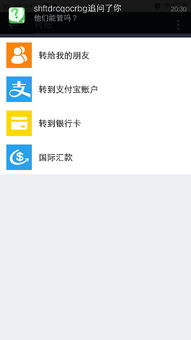 四、 转账到支付宝账户的手续费情况