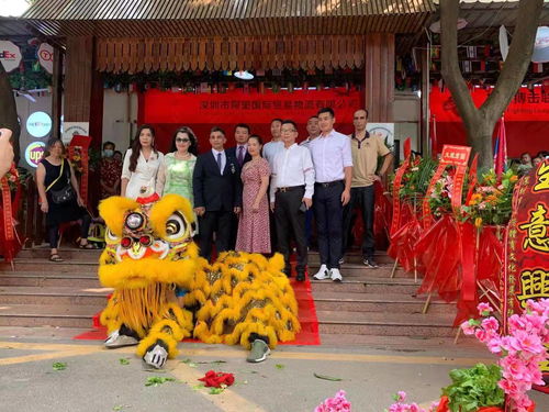 服务Neng力的动态评估