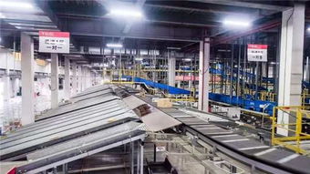 码头理货的核心工作流程解析