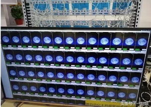 一、 速卖通智投宝简介