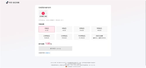 官方充值：平安可靠的选择