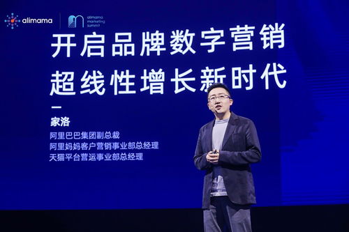 2. 新质新品牌计划