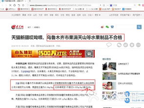 天猫官方旗舰店概述