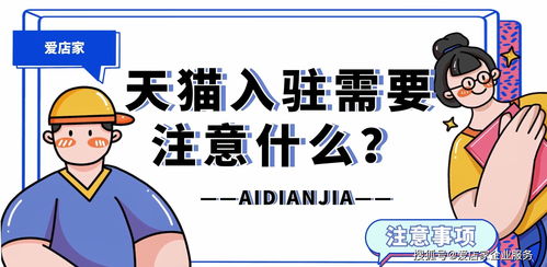 四、 Cdiscount进驻的要求及注意事项