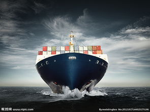 理想拼箱组合与申报信息协同性