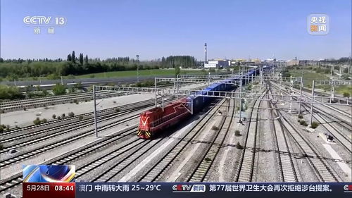 三、 货物品类限制不同