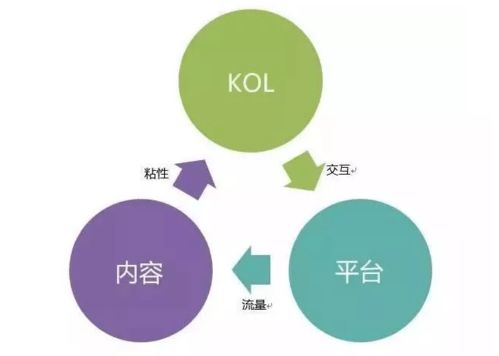 用户“流”存与运营