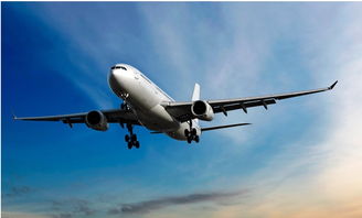 六、空运一吨到印度的费用分析