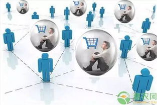 多样化的数据分析工具助力跨境电商卖家