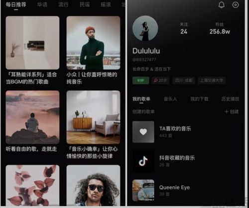 一、抖音汽水音乐：是什么？有何特色？