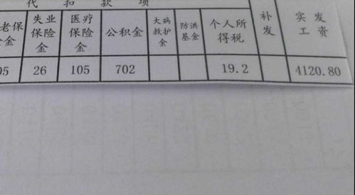 多样化的运输选择， 满足不同需求