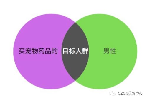 一、 Ozon平台概述