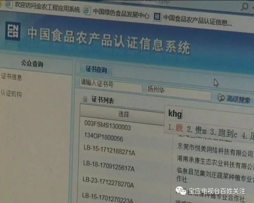 四、 新品标签下的销量审视