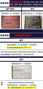 第18-25天：持续优化与增量