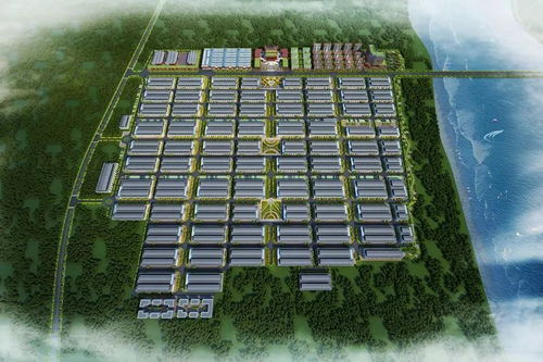 核心竞争力：人才、 技术、品牌优势