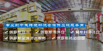 俄罗斯海关电子货物追踪系统提升物流透明度