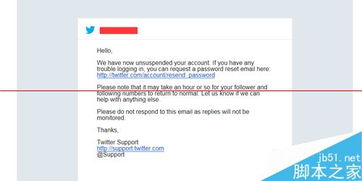 Twitter广告开户审核流程全解析
