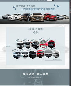 一、 Ozon平台：俄罗斯电商的领军者