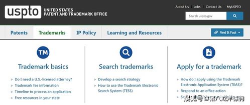 访问USPTO官方网站