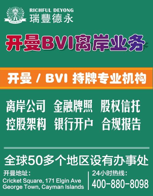 （二）国际税收协定网络的利用