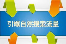 三、 电商环境下的挑战与应对