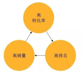 客户评价和评分