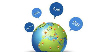 专注与细分领域：个人跨境电商的成功路径