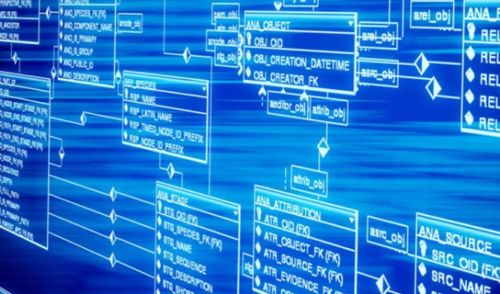 利用数据分析和自动化工具：规避重复刊登风险