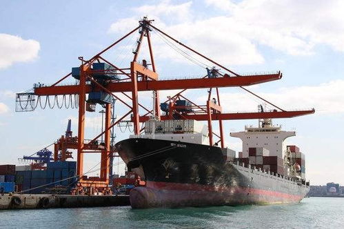 1. 货运操作协调