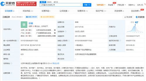 任务完成度与质量：影响收入的关键因素