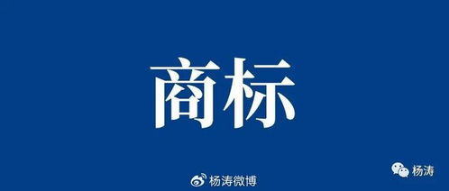 商标的独特性和可注册性