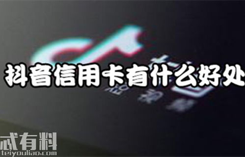 梗多扶持权益与资源