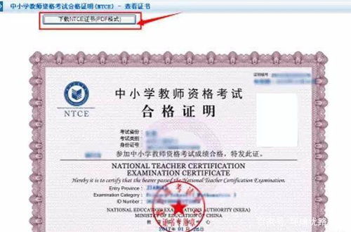 各国具体规定的差异性