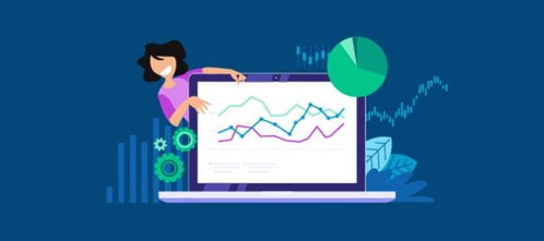 七、 提供优质的客户服务