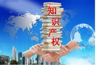 二、 中国知识产权保护现状分析