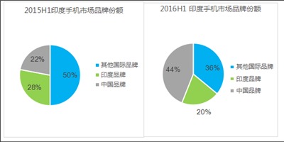 5.2 本地化策略：从市场渗透到生态融入